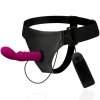HARNESS ATTRACTION - RNES WALTER WITH VIBRATION 15.5 CM -O- 3.7 CM